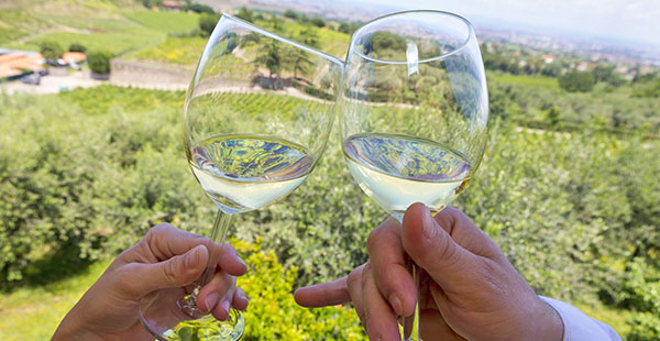 Food & Wine Tour At Frascati And Old Villages Of Castelli Romani