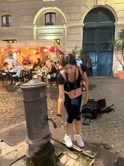 Photo by Alison Ayotte